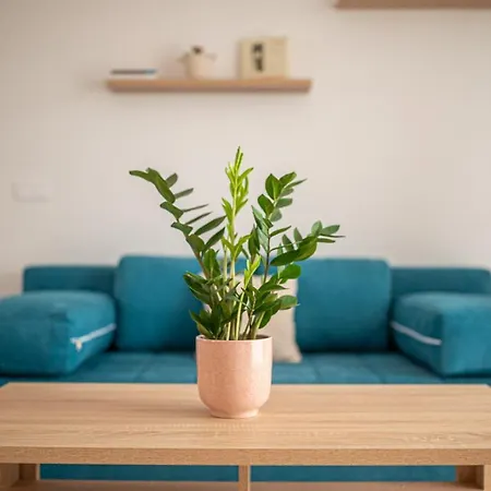 Roze Blue Design Apartment *