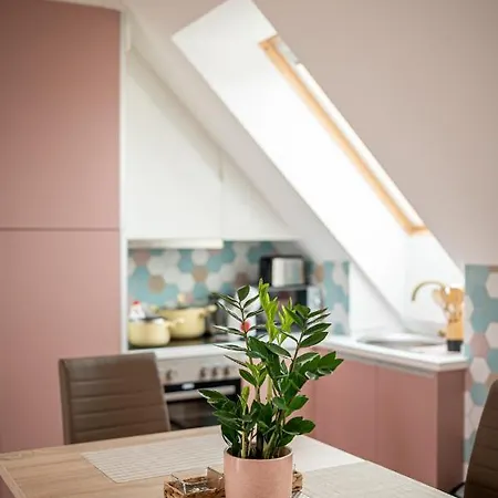 Apartment Roze Blue Design