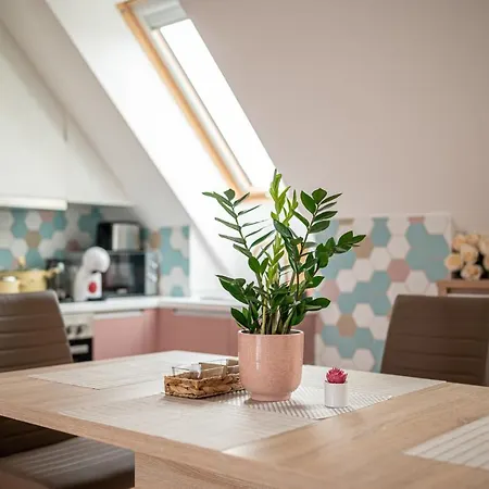 Appartement Roze Blue Design
